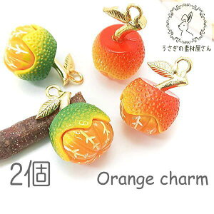 A `[ IW`[ ݂ t[c charm  p[c ʕ 2