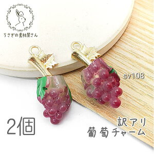 ySSy15ItI2000~OFFN[|!!zA `[ uhE`[  t[ccharm  Ԃǂ p[c ʕ  ANZT[ 2