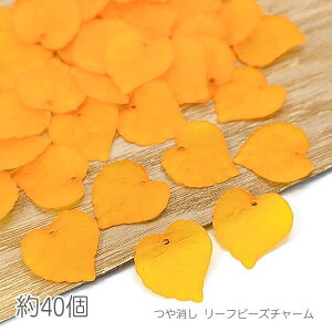 r[Y [t 16mm  `[ r[Y  A t ANp[c 40/IWn