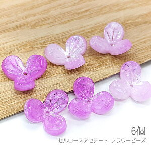 r[Y 12mm t[p[c 3Ԃт r[Y  t[ i Z[XAZe[g 6/p[vn