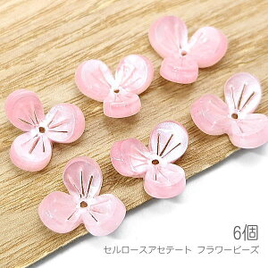 yX|Cg{3{z{ŏIIr[Y 12mm t[p[c 3Ԃт r[Y  t[ i Z[XAZe[g 6/sNn