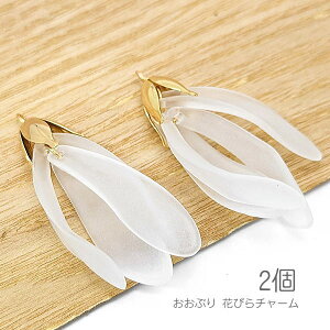 `[ 傫 ԕ 42mm h y_ggbv  t[   A |p[c 2