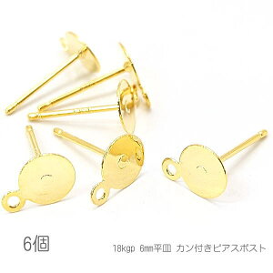 sAX 18kgp 6mm M Jt  sAX ϐFɂ 6