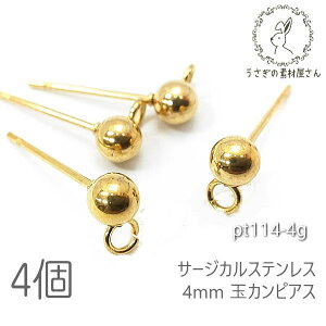 y{3{IőP6{Iz_ڊӃf[^sAX 4mmʃJ T[WJXeX JtsAX   S[hF 4