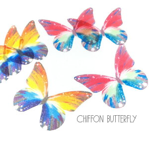 yő500~OFFz0̂N[|IVtHn o^tC Jt n X 35×45mm 8