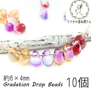 yő2000~OFFz}\N[|Iysale-a-239 ؂I273~Izr[Y KXr[Y ~j 6×4mm hbv  Of[V 10