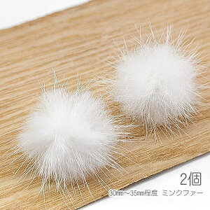 t@[ ~Nt@[ S30mm`35mmx ӂ~Nt@[ \tpɂ H ~ 2/zCgn