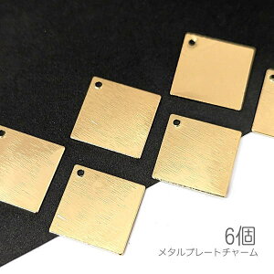 A ^`[ 22mm JX ^v[g XNGA 6