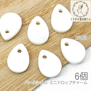 VF`[ 9mm hbv p[VF  miniy_g L`[ }  6