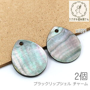 ubNbvVF `[ 20mm hbv L̃y_g  L`[ }  _ 2