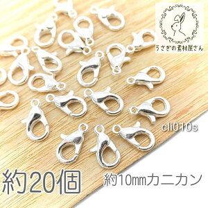 JjJ ߋ 10mm nhChp yA  N[NXv  ߋ/Vo[F