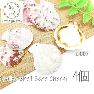 VFr[Y VR z^e 40mmO L k 傫 y_g }  Cp[c 4