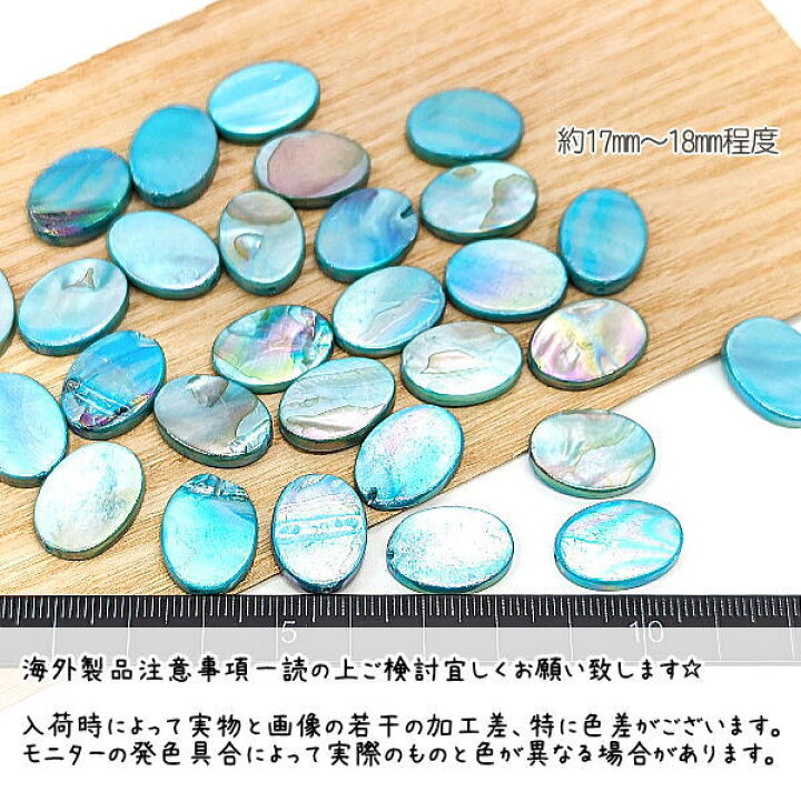 楽天市場】【最大500円OFF】0のつく日限定クーポン！訳アリ シェル 