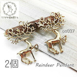 `[ giJC 34mm y_g 2J ~  傫 nhCh NX}X p[c 2