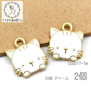 `[ L 12mm Lbgy_g Gi J[`[ LG 2/zCg