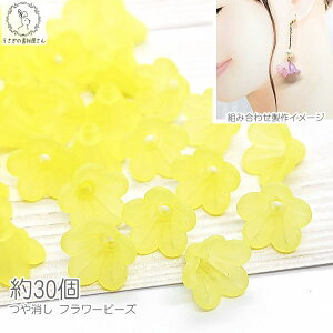 r[Y p[c  13.5mm 30 CG[ F  t[ obO`[ p[c nhChp[c ̑fމ  KX t[r[Y }bgH