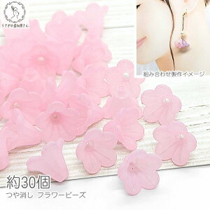 yő2000~OFFzubNtCf[Ir[Y p[c  13.5mm 30 sN  t[ obO`[ p[c nhChp[c ̑fމ  KX t