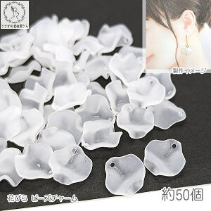 t[ r[Y `[ Ԃт 16mm 50 zCg   t[`[ ̑fމ nhChp[c Ԃ̃p[c y^ }bgH AN`[