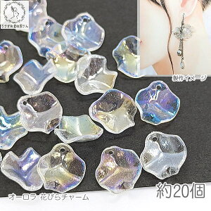 t[ r[Y `[ Ԃт 16mm 20 NAAB  t[`[ ̑fމ nhChp[c Ԃ̃p[c y^ I[J[ AN`[