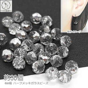 KXr[Y {^Jbg 3mm×4mm 30 Vo[F F n[tbL r[Y nhChp[c ̑fމ ^bN dCbL  f