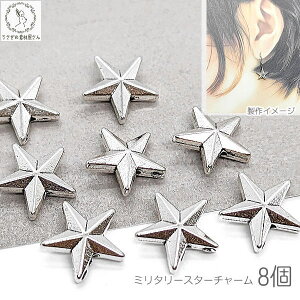 r[Y  12mm×13mm 8 ~^[ X^[r[Y AeB[N  nhChp[c ̑fމ AeB[NVo[F ^bN FG Fp[c