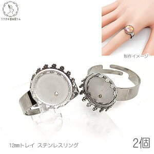 O p[c 304XeX 12mm gC 2 w XeXO nhChp[c ̑fމ TCY\ XeXF w AWX^[O