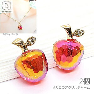 yő500~OFFz0̂N[|IS `[  LL I[H  AN Xg[`[ 22mm×15mm 2 I[ NA ̃Abv ANZT[p[c