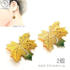 `[  17mm 2 AN`[ JGf a nhChp[c ̑fމ H G gt [t`[ CG[ O[ nhChp[c