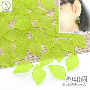 yXP{5{Iz{ő1,000~N[|Ir[Y [t 18mm 40 t t  r[Y `[ CgO[n  ʂ A t ANp[c ̑fމ