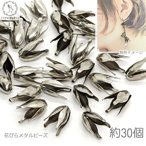 t[ r[YLbv 13mm 30 WEF Vo[F Vv y Ԃтr[Y ԍ  nhChp[c b p[c ̑fމ