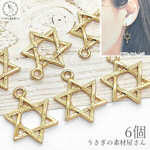  `[ Z䊐 g 17mm 6 wLTO S[hF FG ^p[c Vv X^[ nhChp[c ޗ ̑fމ