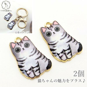 yXP{5{Iz{ő1,000~N[|I`[ L p[c 24mm 2 O[n DF G|`[ J[`[ ˂ ̑fމ ANZT[p[c LG cat 