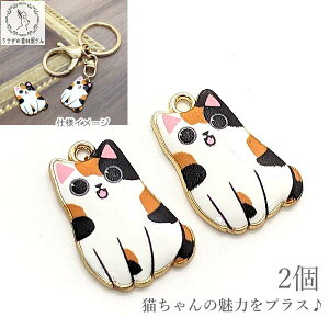 ySSy15ItI2000~OFFN[|!!z`[ L p[c 24mm 2 OєL ~PlR G|`[ J[`[ ˂ ̑fމ ANZT[p[c LG cat 킢 o