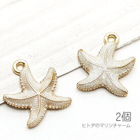 チャーム 14mm 訳アリ ヒトデ マリン スターフィッシュ 夏 カラーチャーム 海のハンドメイドに 2個/アイボリー系