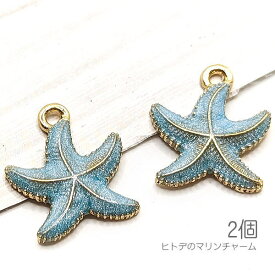 チャーム 14mm 訳アリ ヒトデ マリン スターフィッシュ 夏 カラーチャーム 海のハンドメイドに 2個/ブルー系