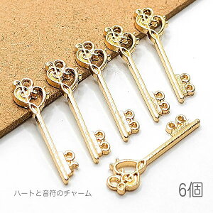 `[ n[g   25mm L[`[ y_g ANZT[p[c 6