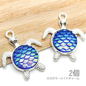 `[ zk CT̃`[ Vo[F  }[Ch  LL n 2 u[