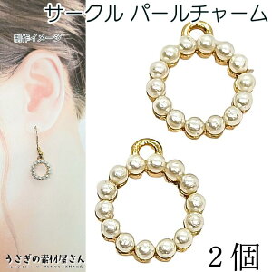 `[ T[N O p[`[ ~` 14mm 2 p[t[ `[ Vv i ANZT[p[c ̑fމ ANZT[p[c | ޗ