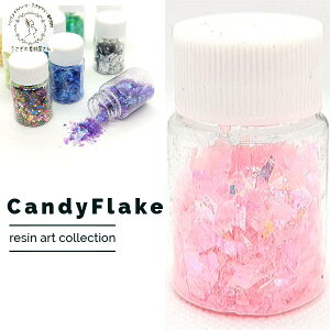 I[t[N XpR[ `bv W 2.8mm~6.5mmx lCA[g nhChp[c ̑fމ LfBXpR[ 