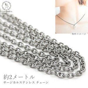 yX|Cg{3{z{ŏIIO`F[ T[WJXeX 2.5mm 2[g Jbgς nhChp[c lbN`F[ ̑fމ `F[ ؂蔄 u