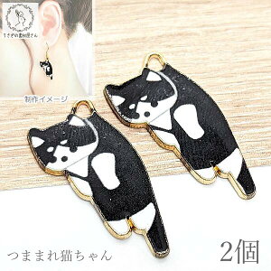 y{3{IőP6{Iz_ڊӃf[^`[ L p[c 27mm 2 L ubN ܂܂L J[`[ ˂ ̑fމ ANZT[p[c LG cat 킢 ob