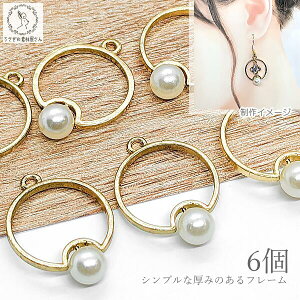 yő500~OFFz0̂N[|I`[ p[ T[Nt[21mm p[TCY8mm 6 nhChp[c ̑fމ Vv cp[ nhCh