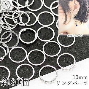 yXP{5{Iz{ő1,000~N[|Ig T[N 10mm 30 ^J Vo[F O Wg ^p[c  ANZT[p ̑fމ t[p[