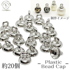 r[YLbv 8mm 20 WEF vX`bN jȂ q[gLbv Vo[n KXh[̃Lbv t^ Jo[  nhChp[c ̑fމ b