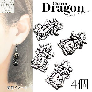 `[ hS  x`[ 13mm 4 AeB[NVo[F nhChp[c ̑fމ ^ N ANZT[p[c y_g dragon F