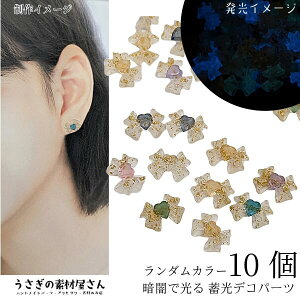 J{V \t { 10mm ~ _ ~bNXJ[ 10 fRp[c K[[ nhChp[c ̑fމ ÈłŌ lCp[c 