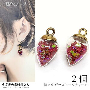 yő2000~OFFz}\N[|IA KXh[ `[ ^ 19mm 2 bh Ԍn VJVJ ̃XpR[ KXy_g ANZT[ p[c 