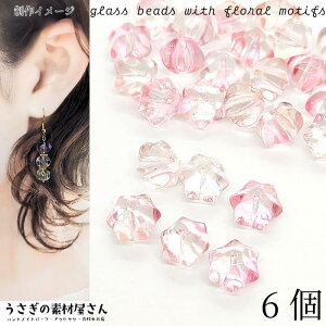 A r[Y t[ 8mm 6 KXr[Y sNn S[h h ʂ  r[Y nhChp[c ̑fމ KXp[c