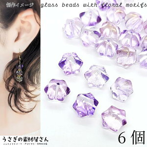 A r[Y t[ 8mm 6 KXr[Y p[vn n S[h h ʂ  r[Y nhChp[c ̑fމ KXp[c