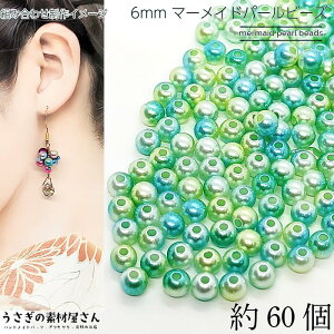 p[r[Y 6mm }[Chp[ 60 CgO[n v r[Y tFCNp[ Of[V C{[  r[Y ANZT[p[c ̑fމ